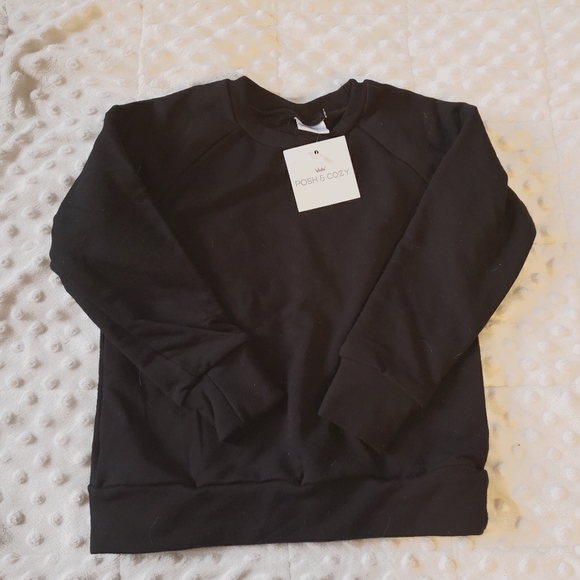 BNWT 3T Posh& Cozy Crew Sweater - Picture 1 of 2